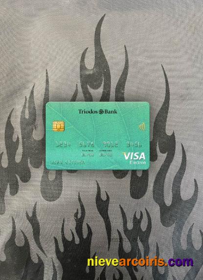 Netherlands Triodos Bank visa electron card photolook